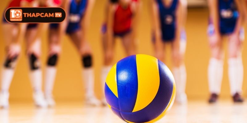 Các tin tức về giải thi đấu bóng chuyền Hàn Quốc