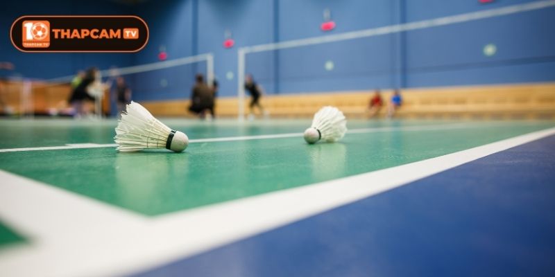 Chi tiết cách xem trực tiếp cầu lông tại Thapcam