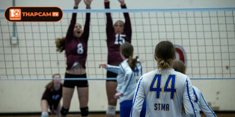 Hướng dẫn xem trực tiếp bóng chuyền tại Thapcam