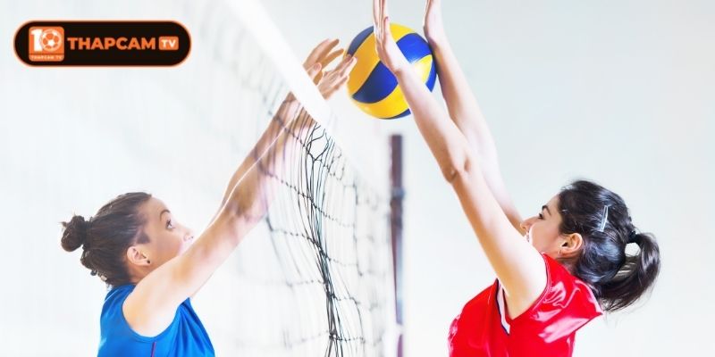 Chi Tiết Về Luật Bóng Chuyền 2025 Update Mới Nhất 2 Kích thước sân trong luật bóng chuyền