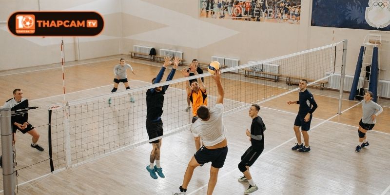 Update Kết Quả Bóng Chuyền Mới Nhất Hôm Nay Tại Thapcam 3 Kinh nghiệm vận dụng kết quả bóng chuyền hiệu quả