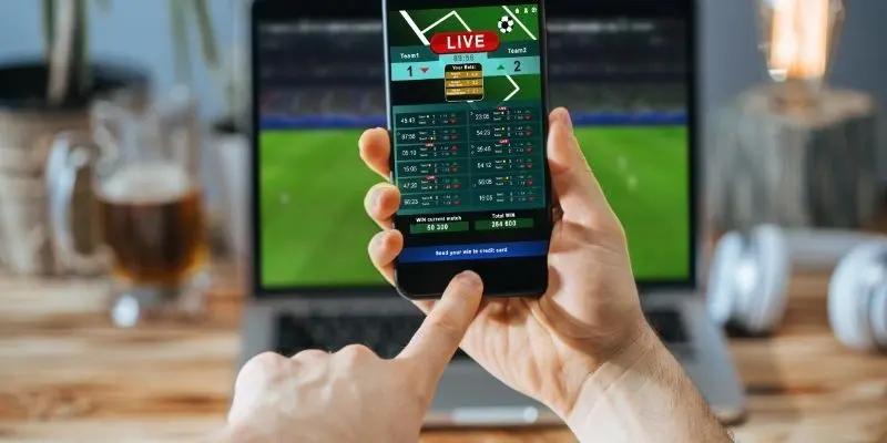 Thao tác tra cứu thông tin của nền tảng cực hiệu quả