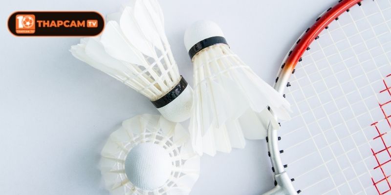 Ưu điểm vượt trội của hệ thống tại Thapcam